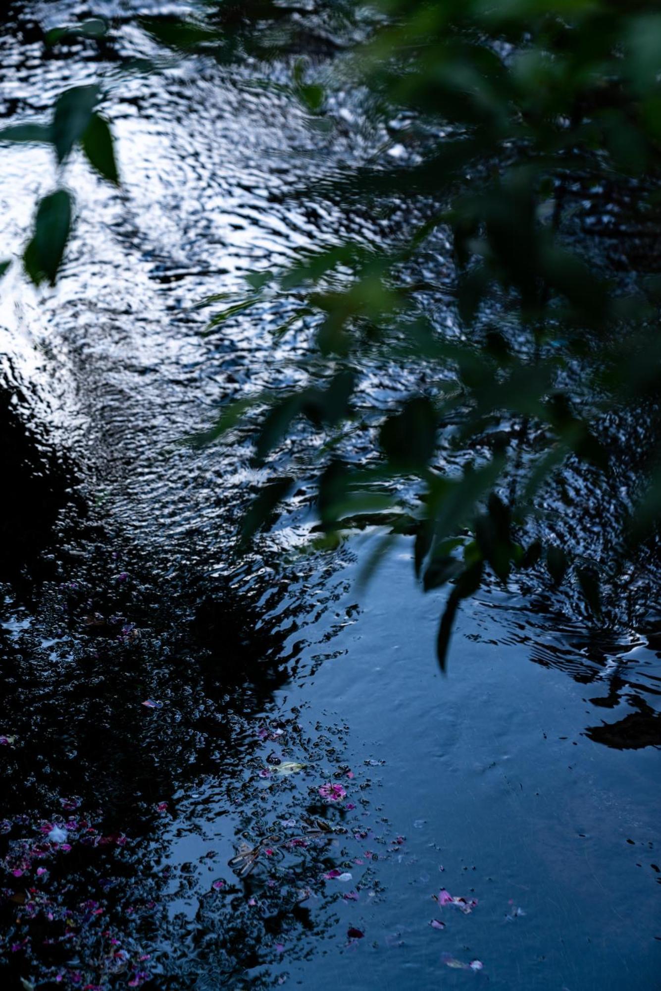 Jun Bo Xuan Boutique Hotel Lijiang  Luaran gambar